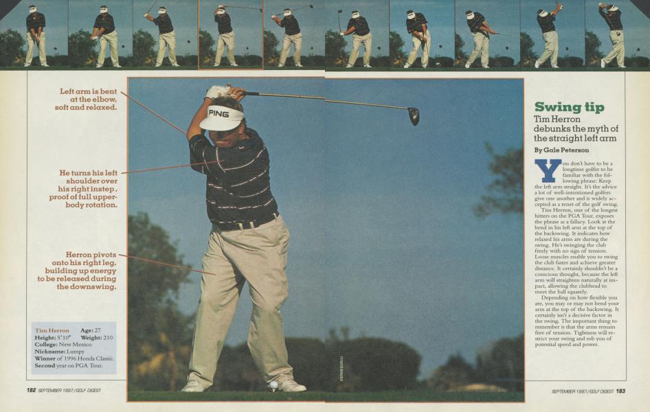 Swing tip