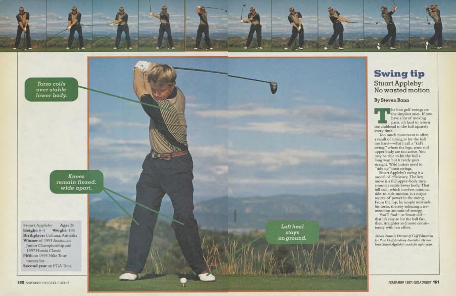 SWING TIP