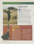 Page: - 134 | Golf Digest