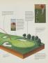 Page: - 113 | Golf Digest