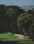 Page: - 123 | Golf Digest