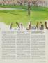 Page: - 229 | Golf Digest