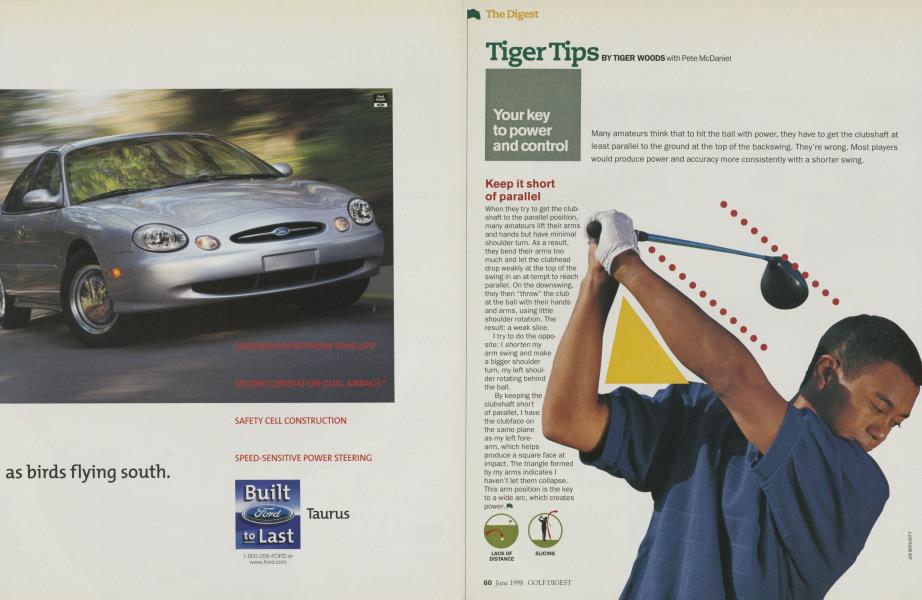 Tiger Tips