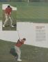 Page: - 37 | Golf Digest