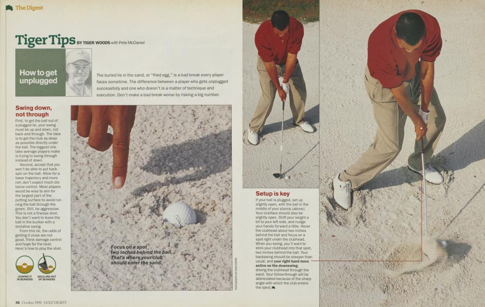 Tiger Tips
