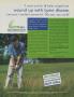Page: - 191 | Golf Digest