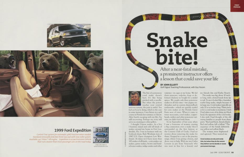 Snake bite!