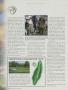 Page: - 144 | Golf Digest