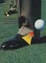 Page: - 78 | Golf Digest