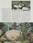 Page: - 125 | Golf Digest