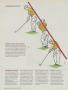 Page: - 94 | Golf Digest