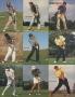 Page: - 85 | Golf Digest