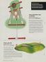 Page: - 62 | Golf Digest