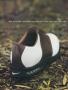 Page: - 0_2 | Golf Digest