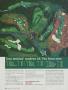 Page: - 128 | Golf Digest
