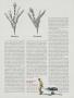 Page: - 75 | Golf Digest