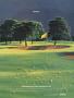 Page: - 88 | Golf Digest