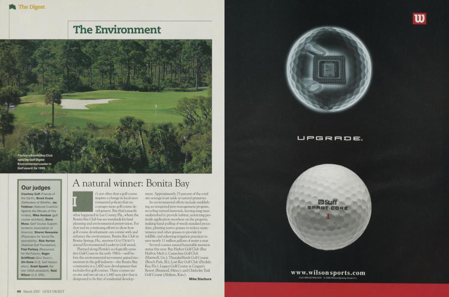 The Environment