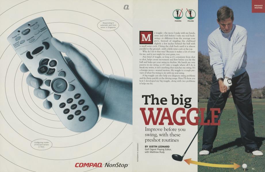 The big WAGGLE