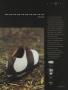Page: - 69 | Golf Digest
