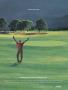 Page: - 128 | Golf Digest