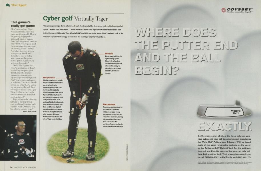 Cyber golf Virtually Tiger