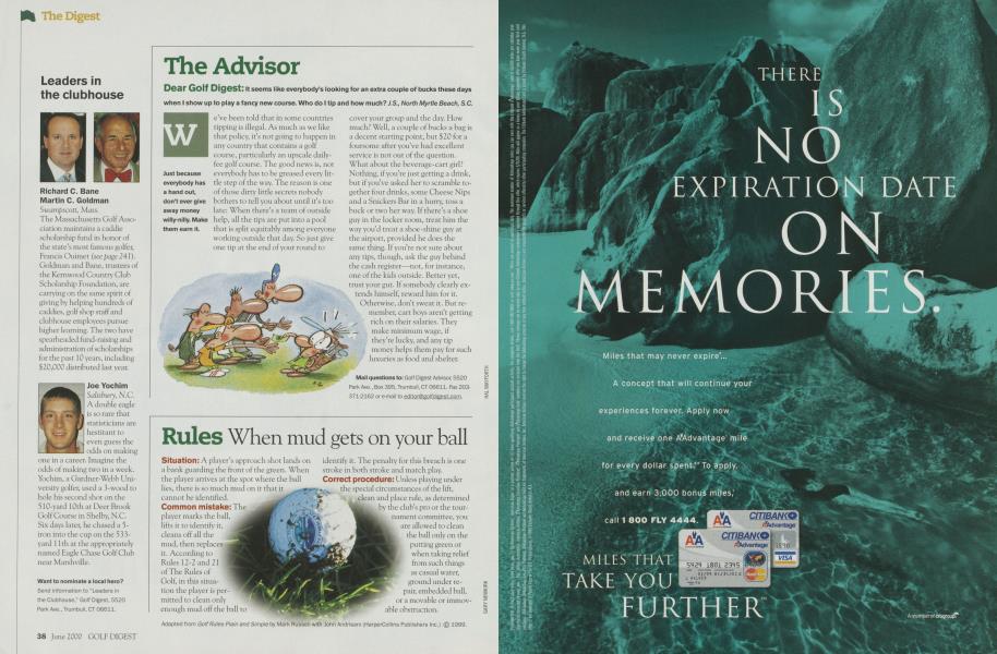The Advisor