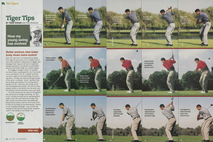 Tiger Tips