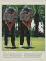 Page: - 83 | Golf Digest