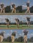 Page: - 100 | Golf Digest