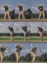 Page: - 99 | Golf Digest