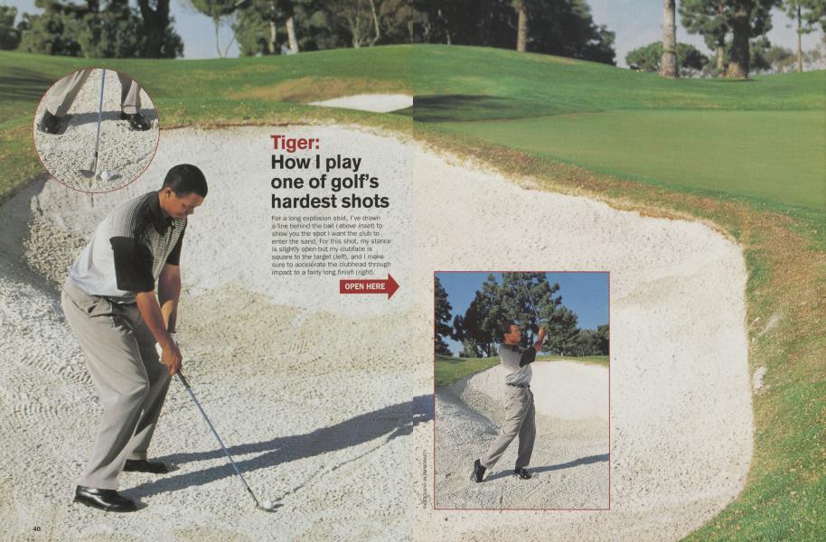 Tiger Tips