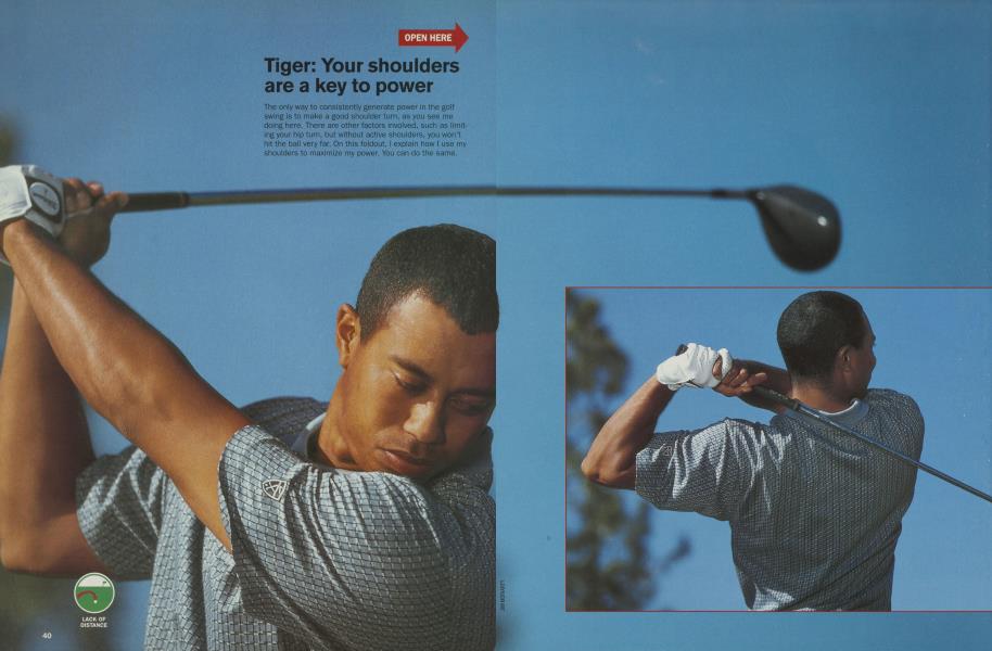 Tiger Tips