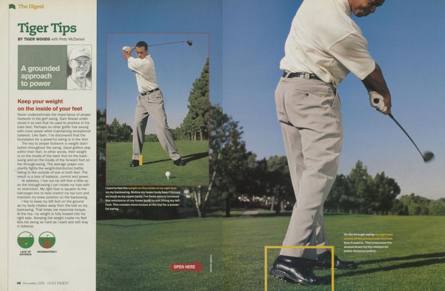 Tiger Tips