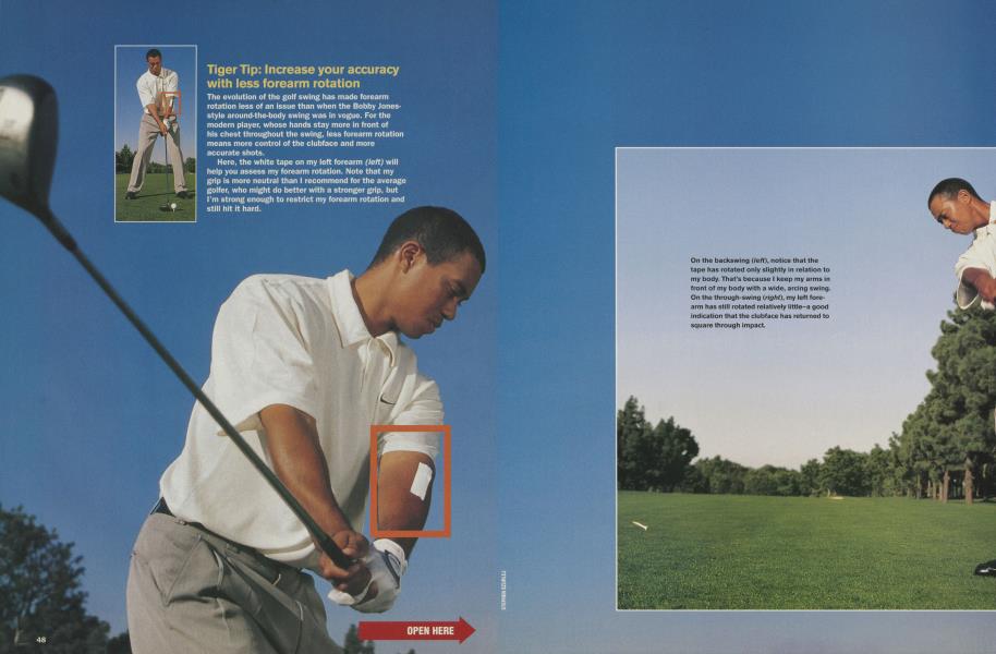 Tiger Tips
