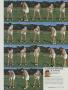 Page: - 61 | Golf Digest