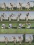 Page: - 74 | Golf Digest