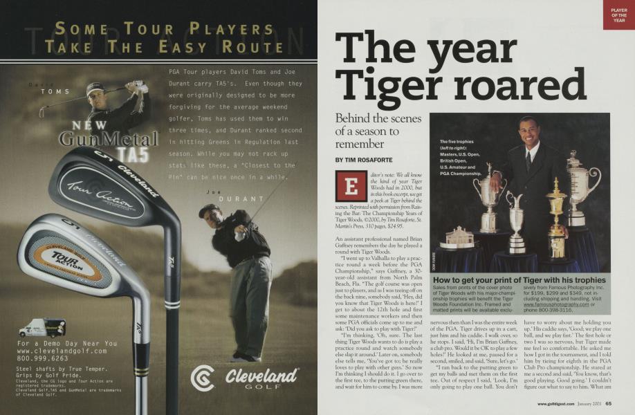 The year Tiger roared