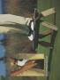 Page: - 69 | Golf Digest