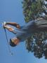 Page: - 0_2 | Golf Digest
