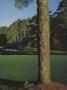 Page: - 147 | Golf Digest