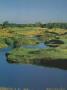 Page: - 148 | Golf Digest