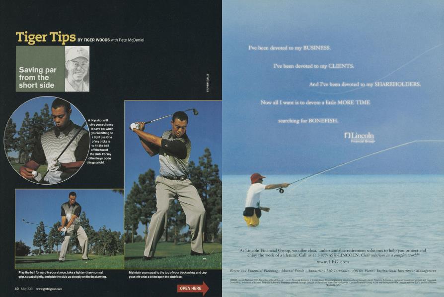 Tiger Tips