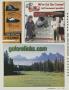 Page: - 203 | Golf Digest