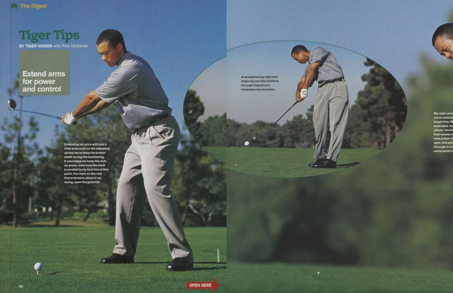 Tiger Tips