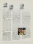 Page: - 10 | Golf Digest
