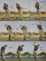 Page: - 90 | Golf Digest