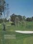 Page: - 43 | Golf Digest