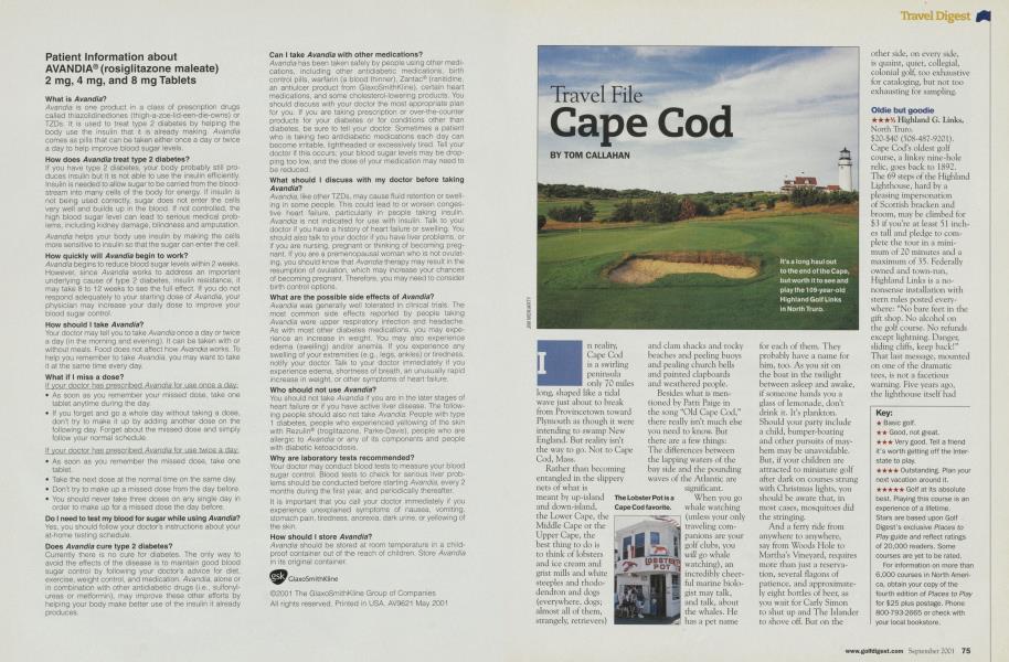Travel File Cape Cod