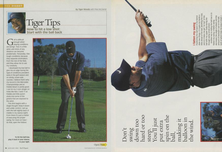 Tiger Tips